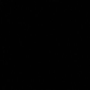 Meet your Posher, Daisy